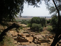 Chellah Ruins